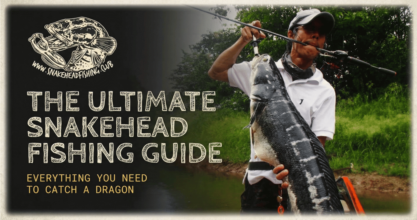 Ultimate Guide to Snakehead Fishing
