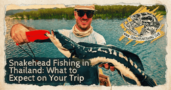 What to Expect on a Thailand Snakehead Trip